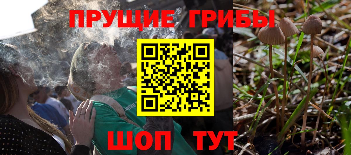 Псилоцибиновые грибы Psilocybe  Вход с VPN  Магнитогорск  Галлюциногенные грибы MAGIC MUSHROOMS 